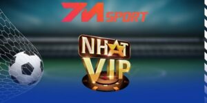 Nhatvip triển khai đa dạng kèo cược nổi bật