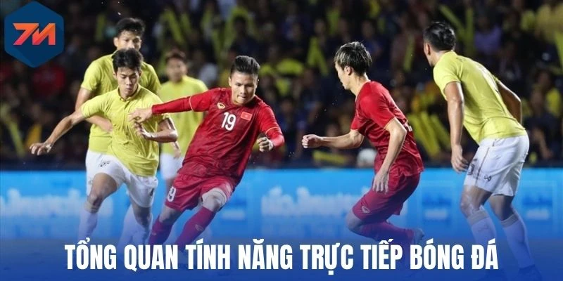 Tổng quan tính năng trực tiếp bóng đá