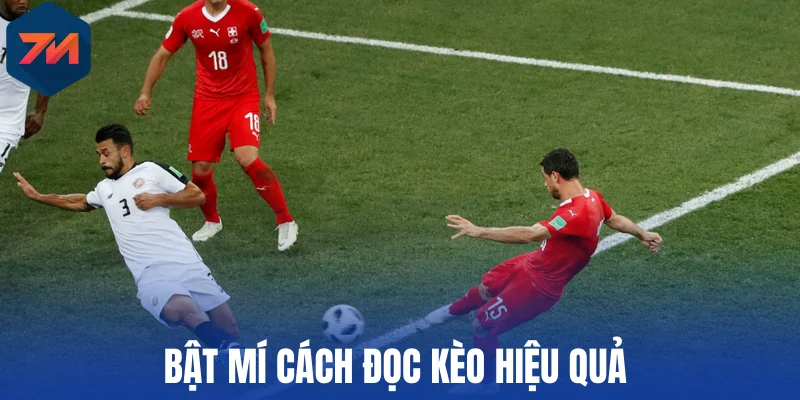 Bật mí cách đọc kèo hiệu quả 