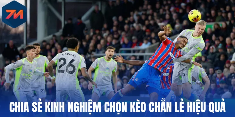 Chia sẻ kinh nghiệm chọn kèo chẵn lẻ hiệu quả