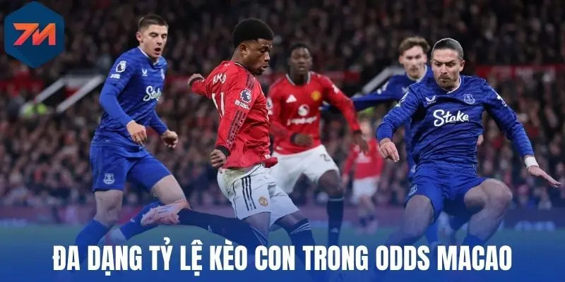 Đa dạng tỷ lệ kèo con trong odds Macao