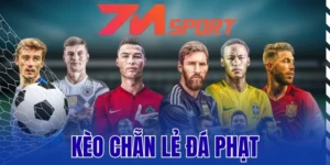 Mẹo phân tích kèo cược chẵn lẻ đá phạt