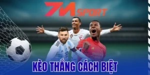 Kinh nghiệm chọn kèo thắng cách biệt hiệu quả