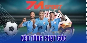 Cược thủ nên tham gia các trận đấu cạnh tranh cao