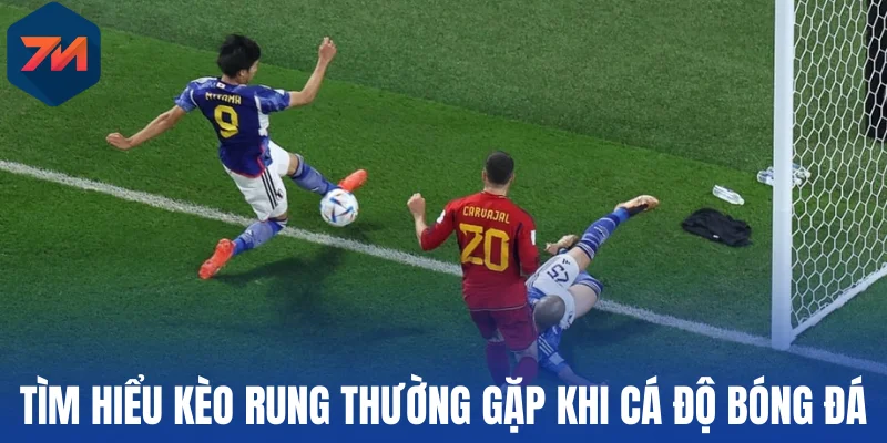 Tìm hiểu kèo rung thường gặp khi cá độ bóng đá