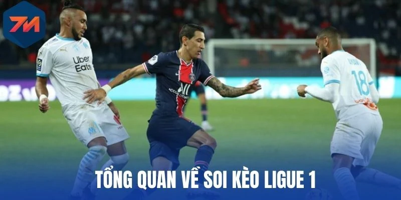 Tổng quan về soi kèo Ligue 1 