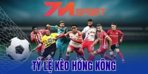 Nắm chắc tính tiền thắng thua kèo Hồng Kông