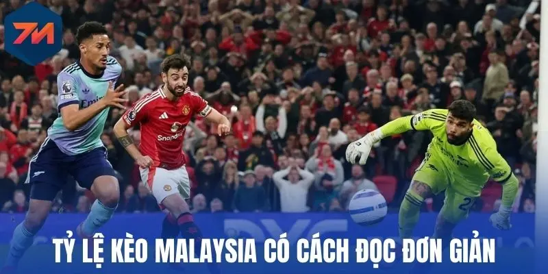 Tỷ lệ kèo Malaysia có cách đọc đơn giản