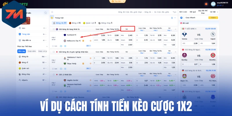 Ví dụ cách tính tiền kèo cược 1X2